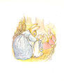 peter rabbit